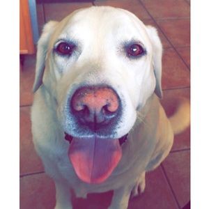 Meet your Posher, Brenlie